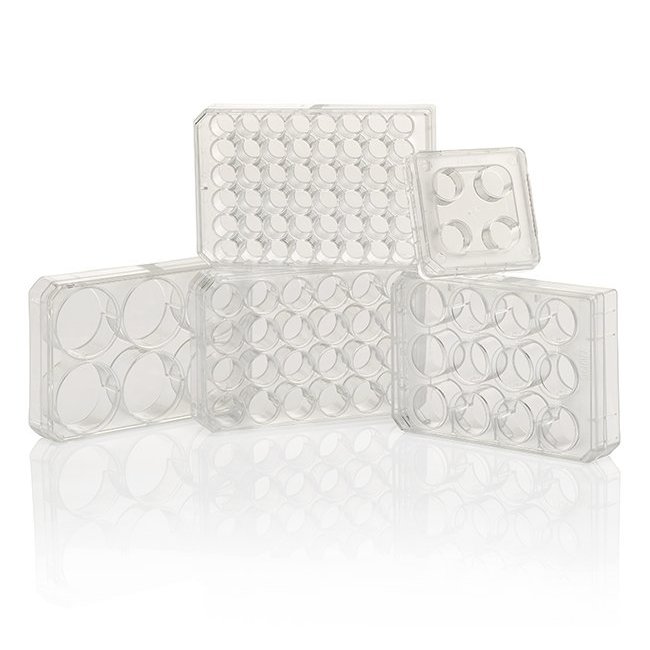 Nunc Cell-Culture Treated Multidishes Nunc Cell-Culture Treated Multidishes